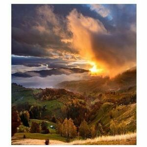 1063619143.jpg?noimage=logo