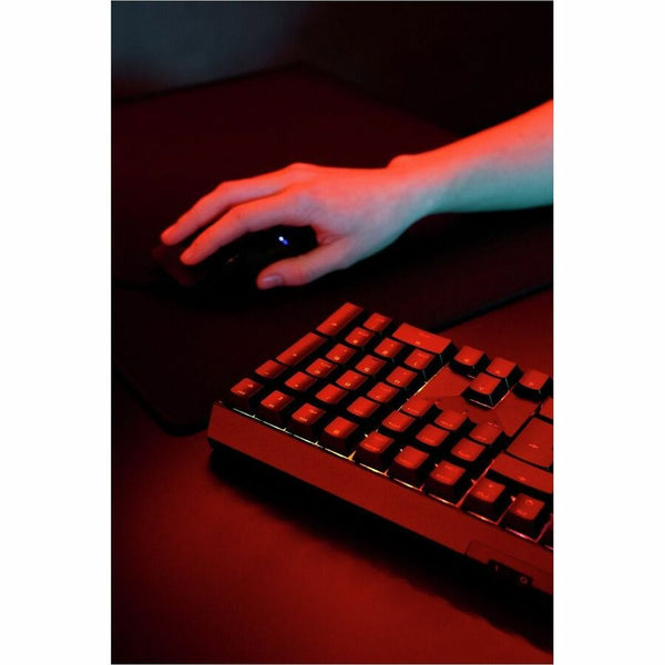 234882331.jpg