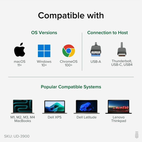 242442337.jpg
