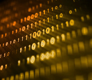 Next-Gen Firewalls: Why Enterprises Trust Palo Alto Networks