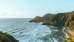 Why Pacific Northwest Businesses Trust LTT Partners with Their Technology