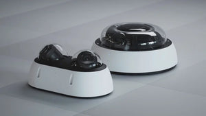 Cutting False Alarms with Verkada's New Animal Detection Feature