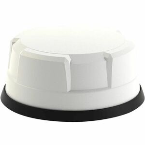 1069442923.jpg?noimage=logo