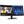 1077974899.jpg?noimage=logo