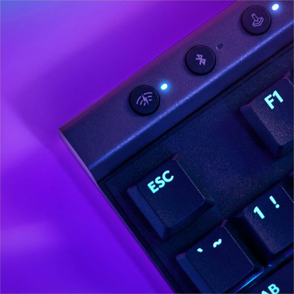 1081369182.jpg