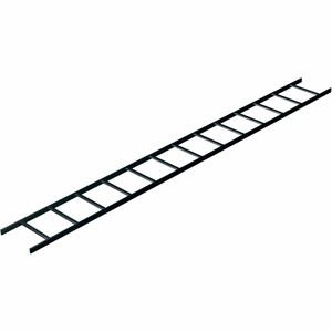 234750595.jpg