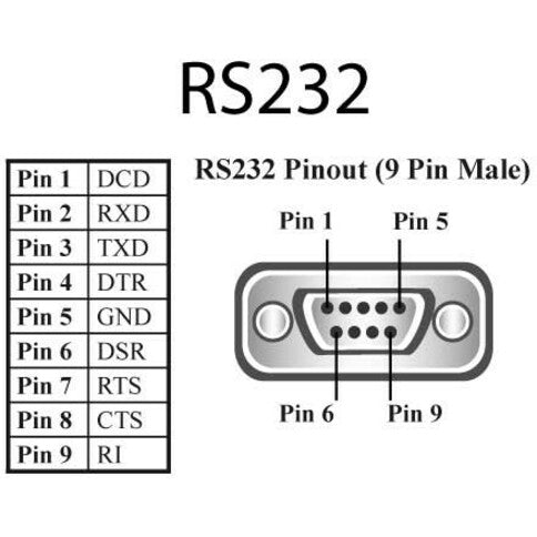 234751776.jpg