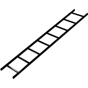 234768158.jpg