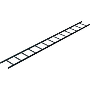 234768233.jpg