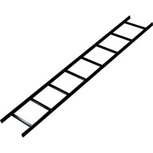 234770477.jpg