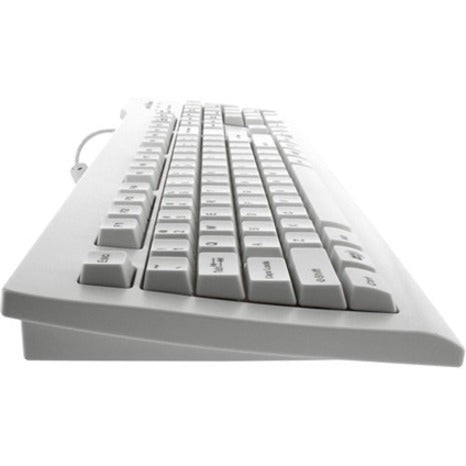 234776971.jpg
