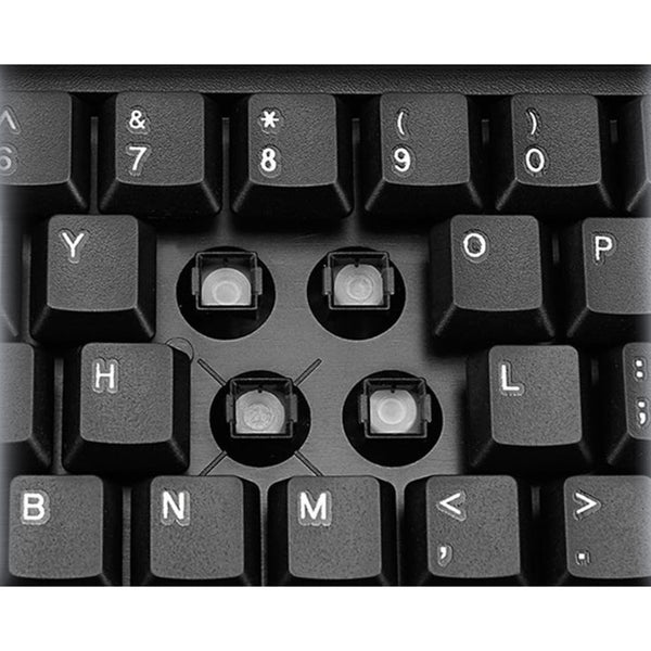 234786203.jpg