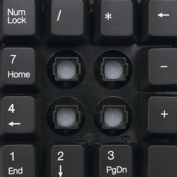 234786365.jpg