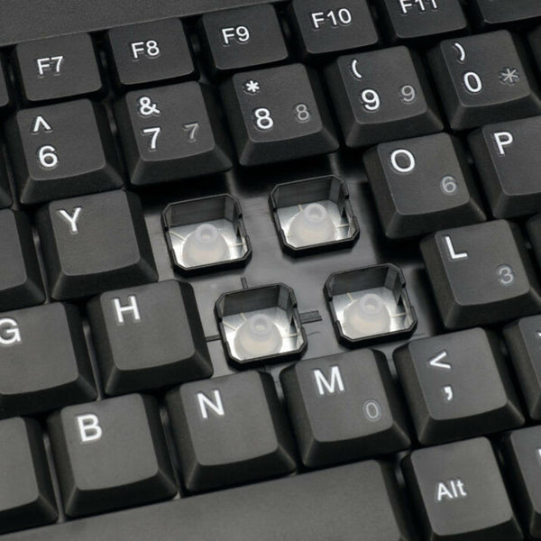 234788490.jpg