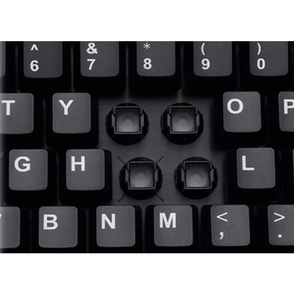 234802814.jpg