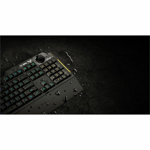 234811761.jpg