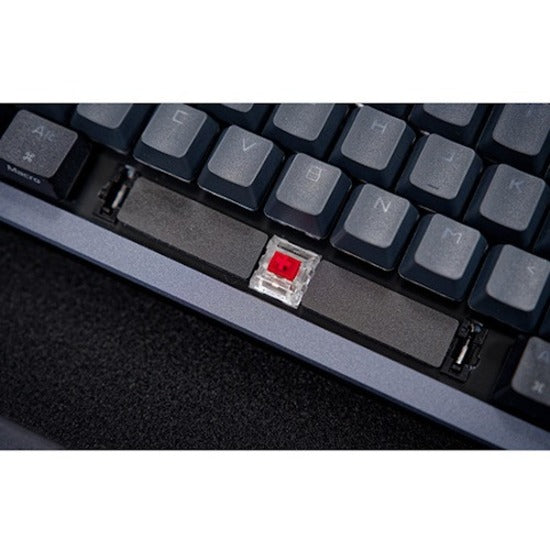 234824336.jpg