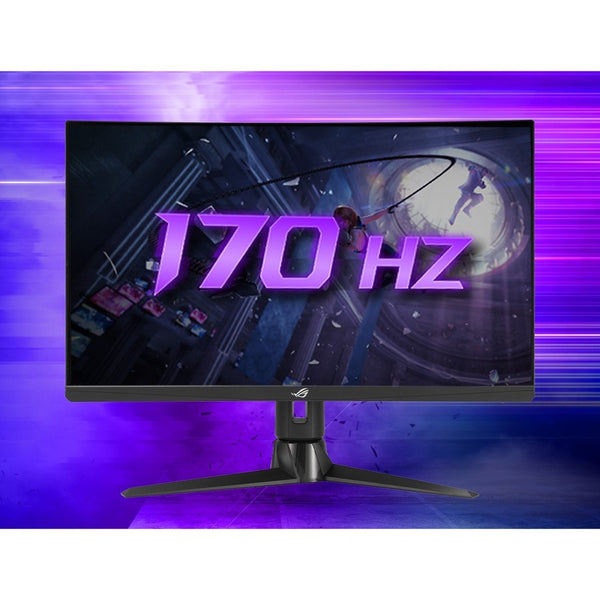 234824601.jpg