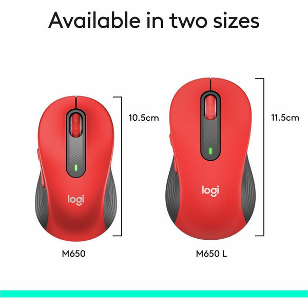 234835310.jpg