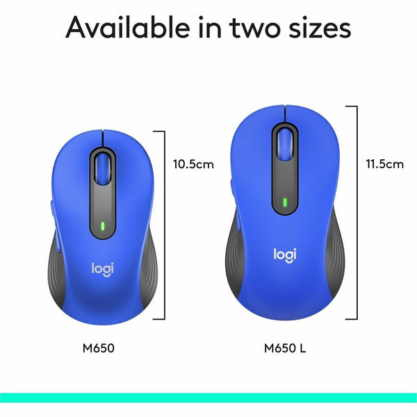 234853160.jpg