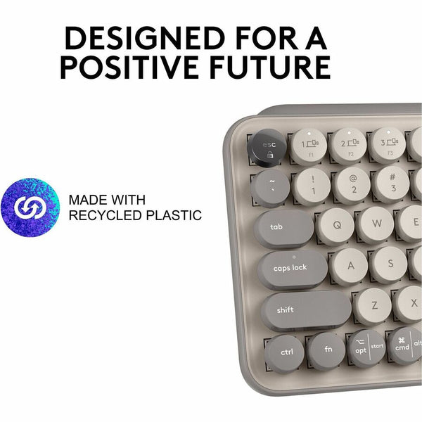 234856917.jpg