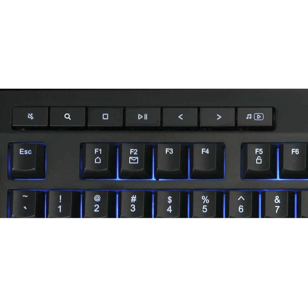 234874204.jpg