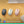 234882056.jpg