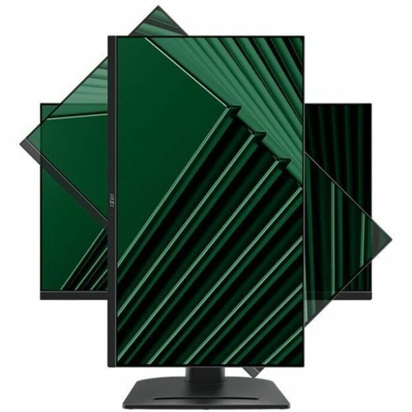 234887545.jpg