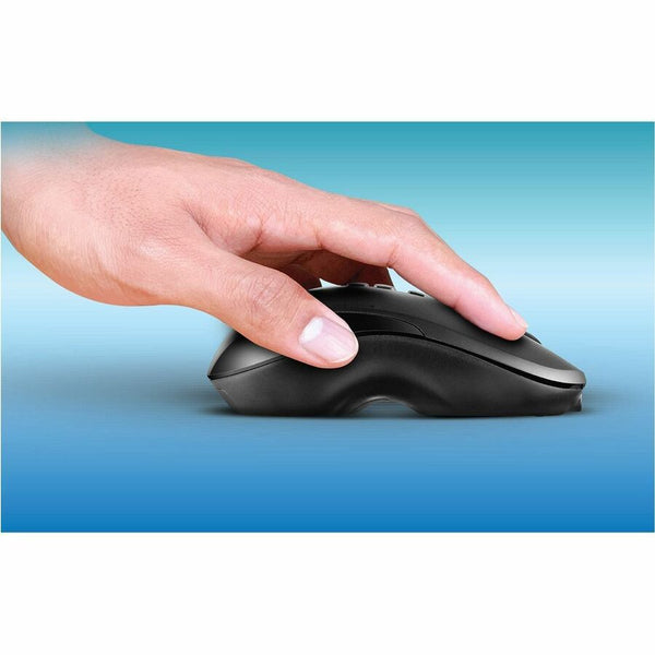 234900882.jpg