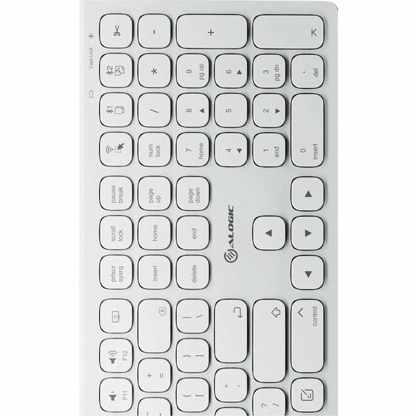234911994.jpg