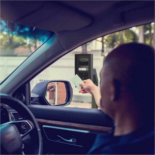239064337.jpg