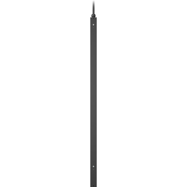 241781905.jpg