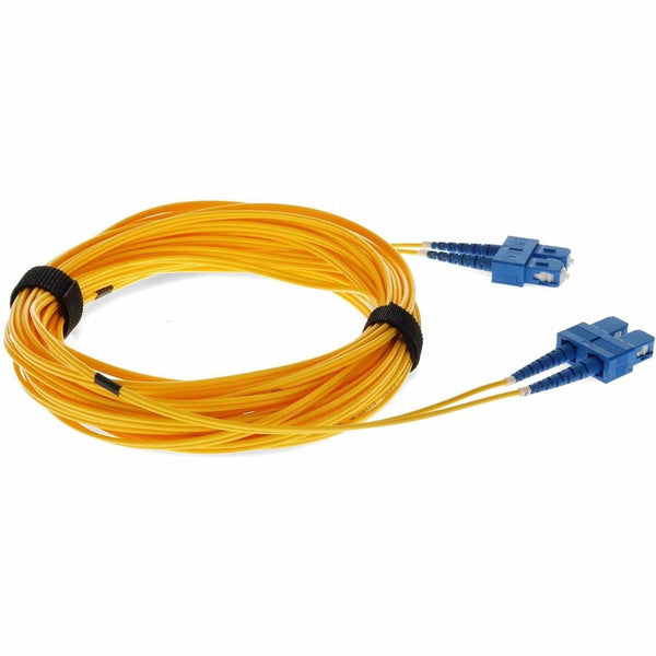 241797691.jpg
