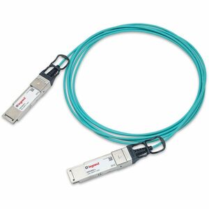 241803935.jpg