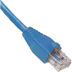 241807559.jpg