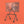 241841196.jpg