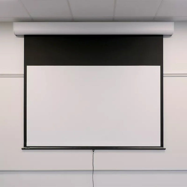 241891562.jpg