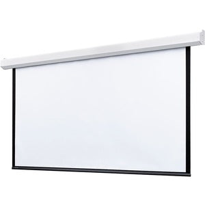 241894599.jpg