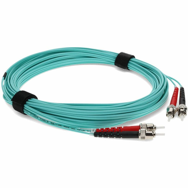 241894835.jpg