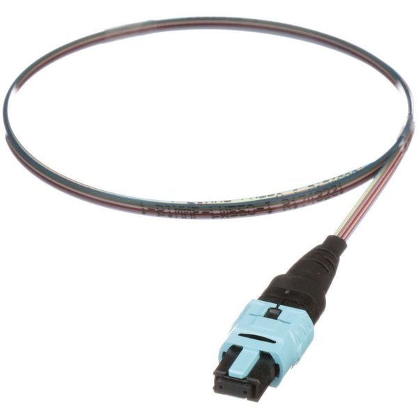 241925843.jpg