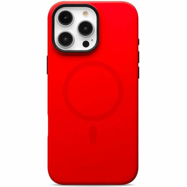 241933588.jpg