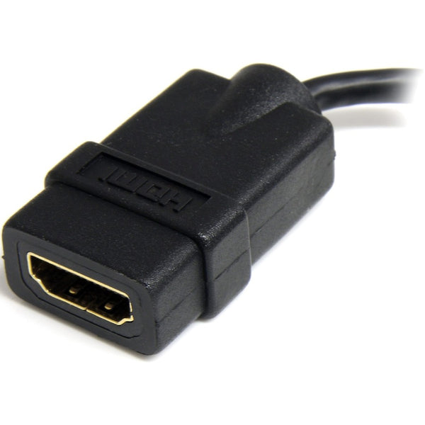 241950445.jpg