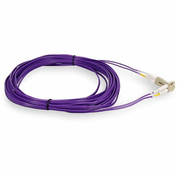 241951846.jpg
