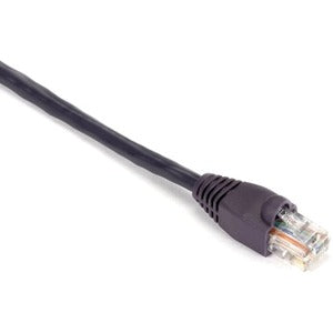 241986714.jpg