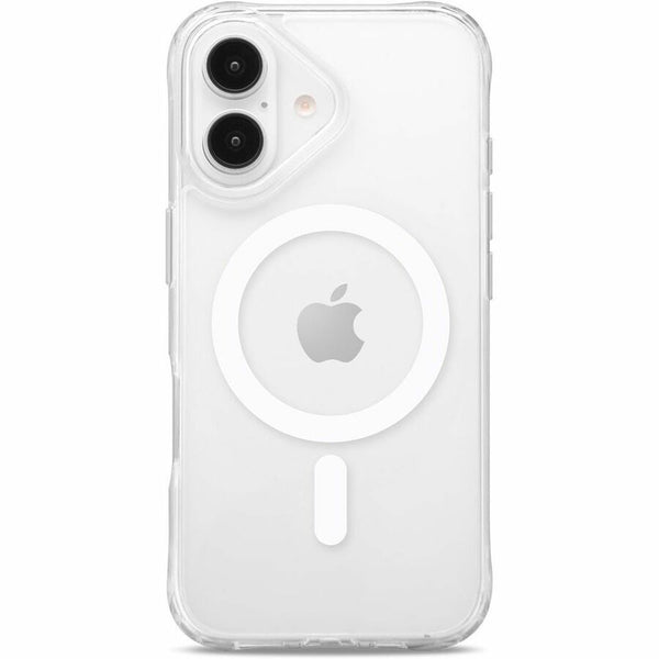 241989029.jpg