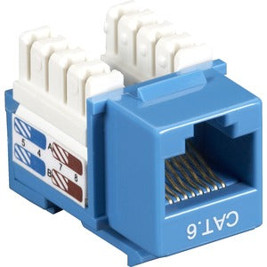 241989768.jpg