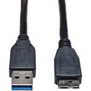 241989790.jpg