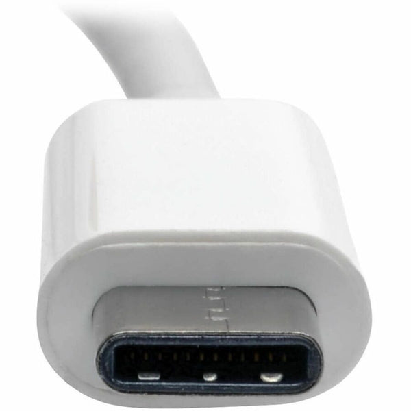 241990015.jpg