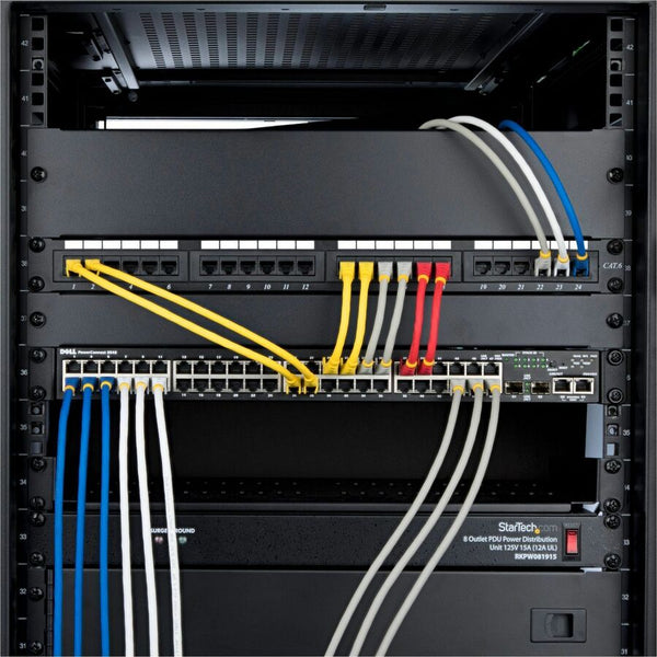 241991901.jpg
