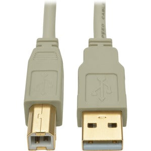 241993006.jpg
